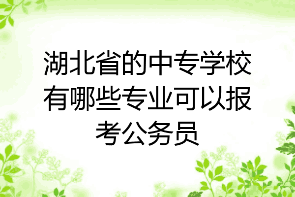 湖北省的中专学校有哪些专业可以报考公务员