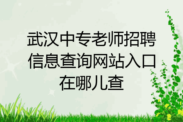 武汉中专老师招聘信息查询网站入口在哪儿查