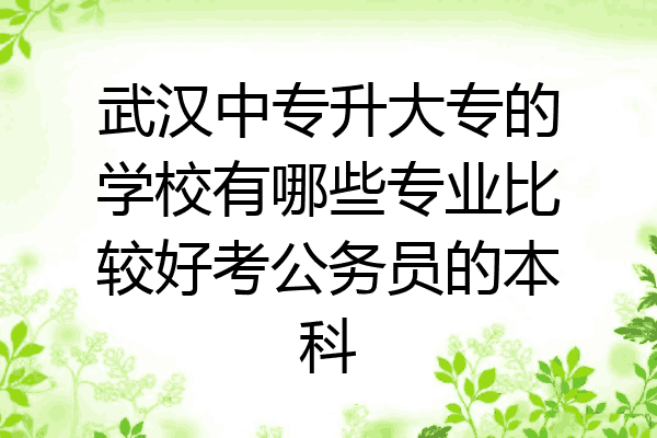 武汉中专升大专的学校有哪些专业比较好考公务员的本科