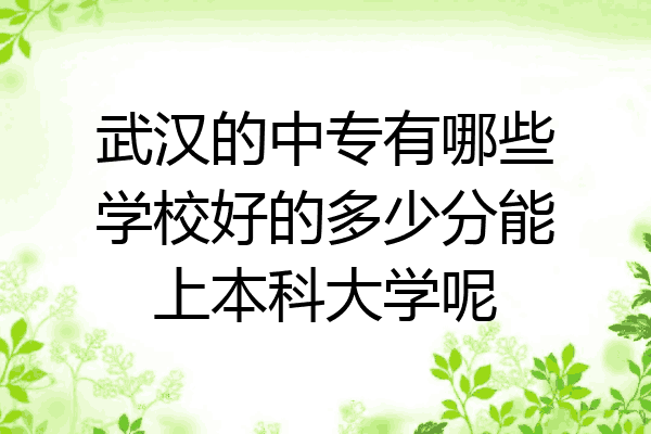 武汉的中专有哪些学校好的多少分能上本科大学呢