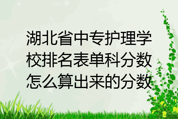 湖北省中专护理学校排名表单科分数怎么算出来的分数