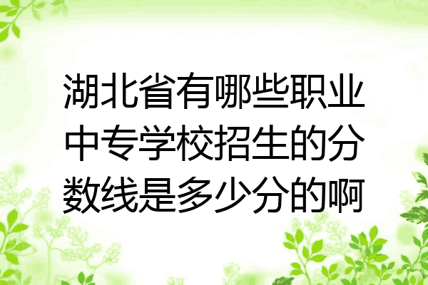 湖北省有哪些职业中专学校招生的分数线是多少分的啊