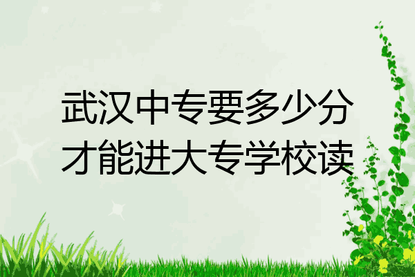 武汉中专要多少分才能进大专学校读