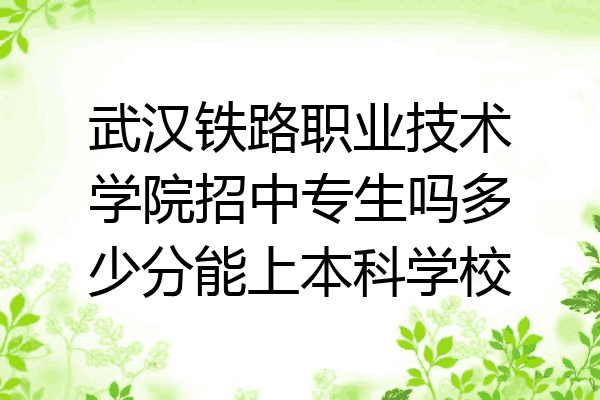 武汉铁路职业技术学院招中专生吗多少分能上本科学校