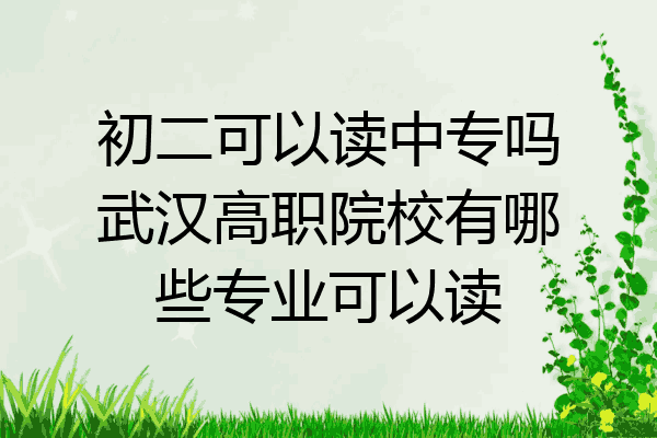 初二可以读中专吗武汉高职院校有哪些专业可以读
