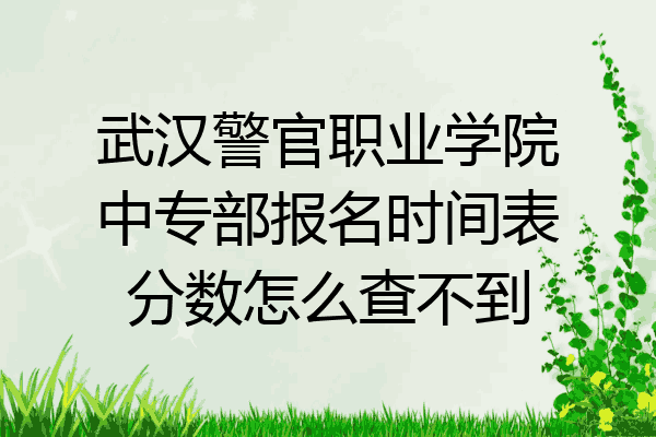 武汉警官职业学院中专部报名时间表分数怎么查不到