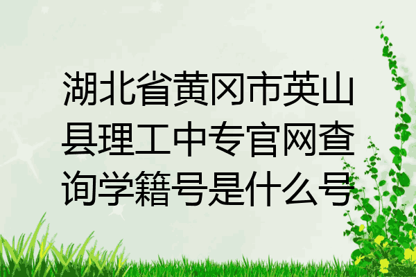 湖北省黄冈市英山县理工中专官网查询学籍号是什么号