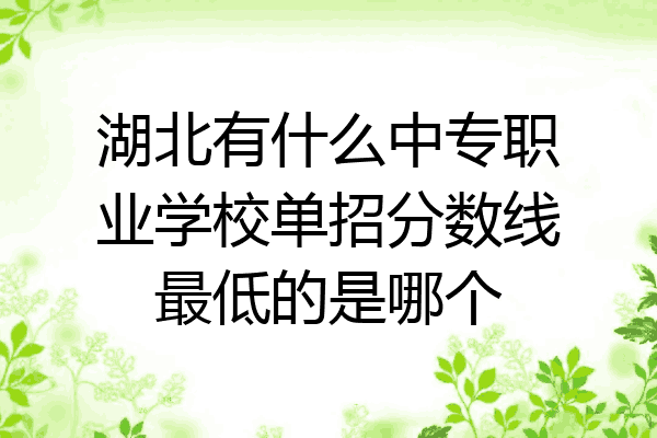 湖北有什么中专职业学校单招分数线最低的是哪个