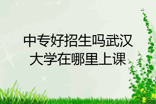 中专好招生吗武汉大学在哪里上课