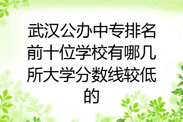 武汉公办中专排名前十位学校有哪几所大学分数线较低的