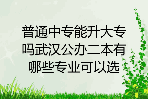 普通中专能升大专吗武汉公办二本有哪些专业可以选