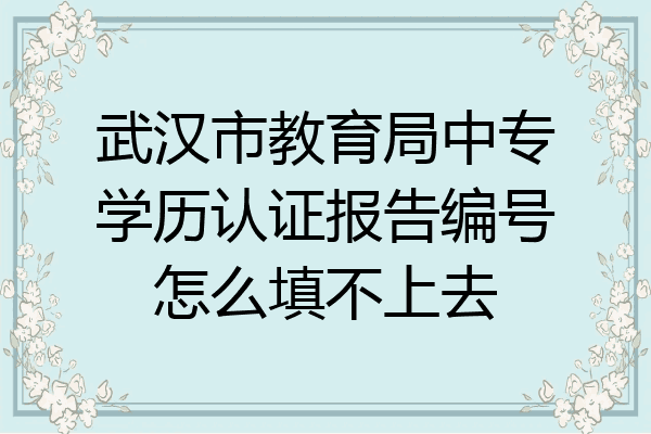 武汉市教育局中专学历认证报告编号怎么填不上去