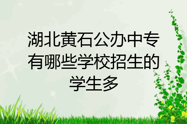 湖北黄石公办中专有哪些学校招生的学生多