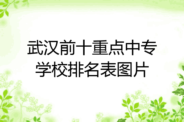 武汉前十重点中专学校排名表图片