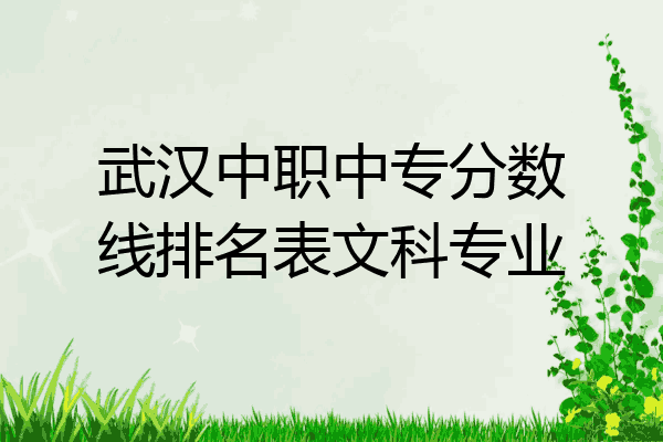 武汉中职中专分数线排名表文科专业