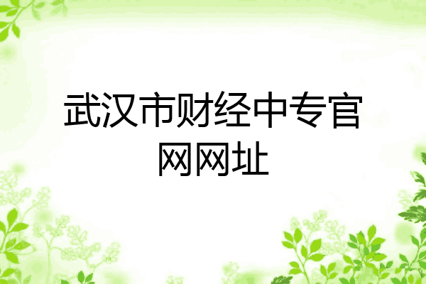 武汉市财经中专官网网址