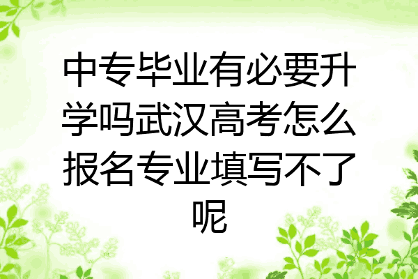 中专毕业有必要升学吗武汉高考怎么报名专业填写不了呢