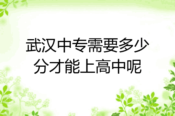 武汉中专需要多少分才能上高中呢