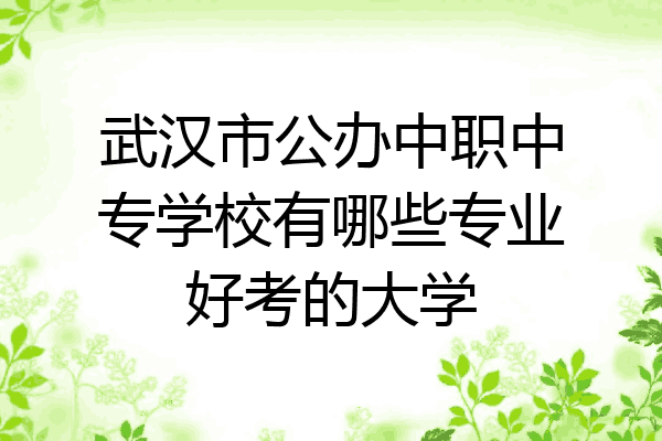 武汉市公办中职中专学校有哪些专业好考的大学