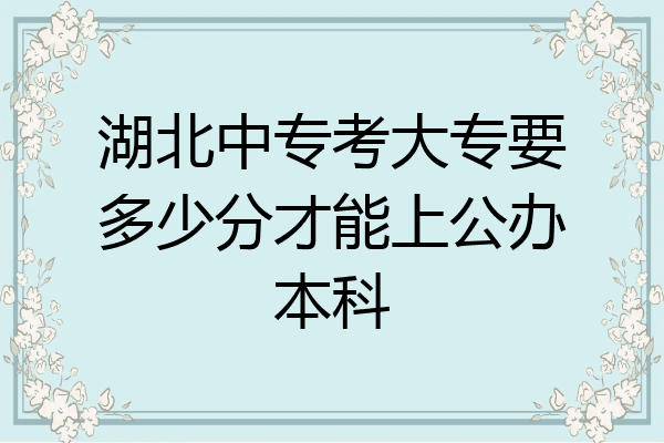湖北中专考大专要多少分才能上公办本科