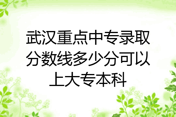 武汉重点中专录取分数线多少分可以上大专本科