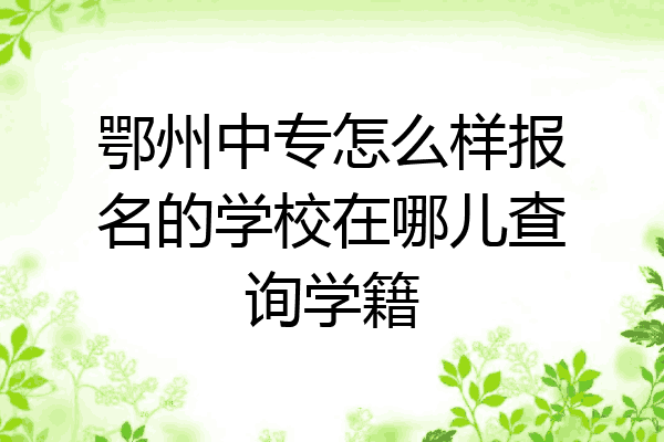 鄂州中专怎么样报名的学校在哪儿查询学籍