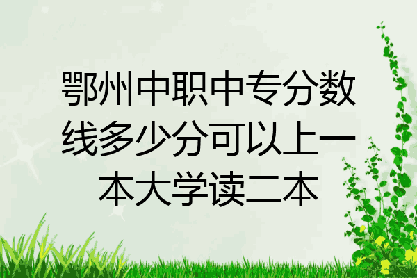 鄂州中职中专分数线多少分可以上一本大学读二本
