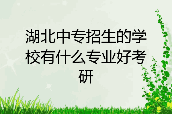 湖北中专招生的学校有什么专业好考研