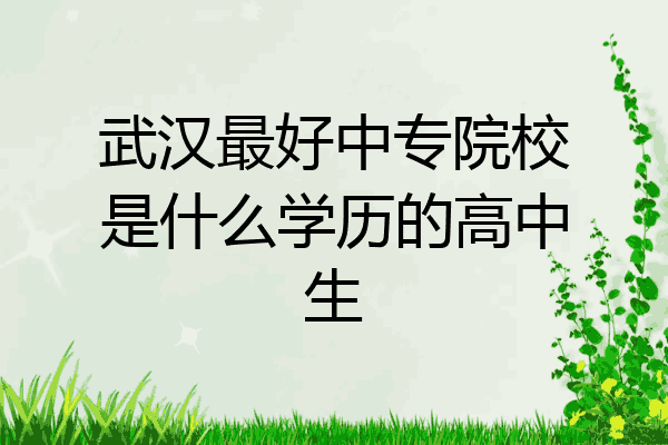 武汉最好中专院校是什么学历的高中生