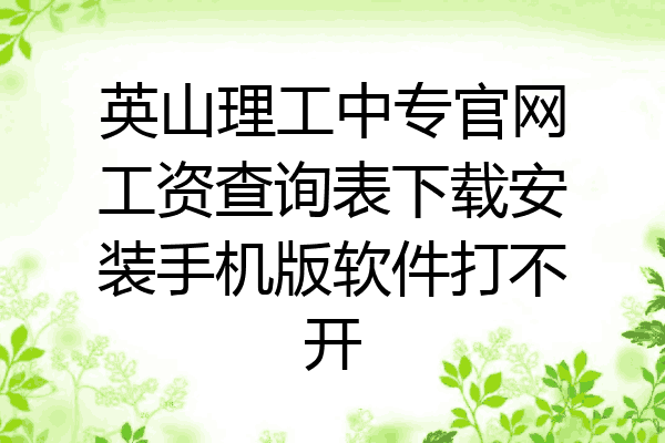 英山理工中专官网工资查询表下载安装手机版软件打不开