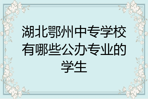 湖北鄂州中专学校有哪些公办专业的学生