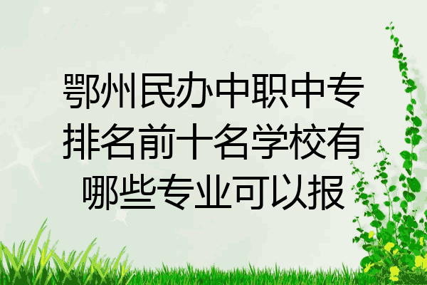 鄂州民办中职中专排名前十名学校有哪些专业可以报
