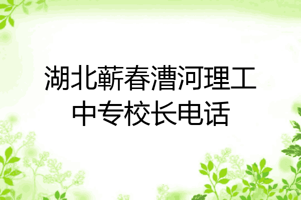 湖北蕲春漕河理工中专校长电话