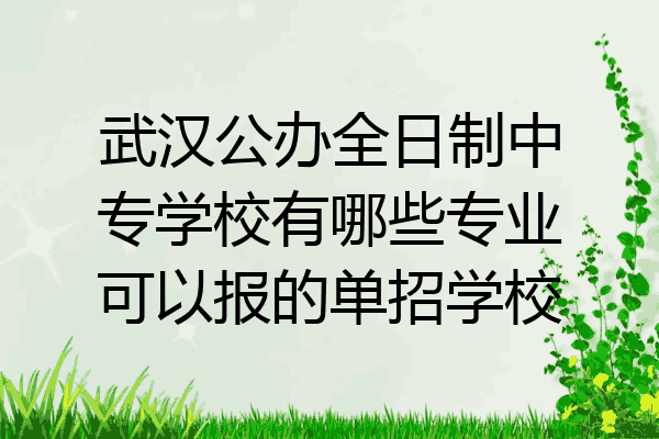 武汉公办全日制中专学校有哪些专业可以报的单招学校
