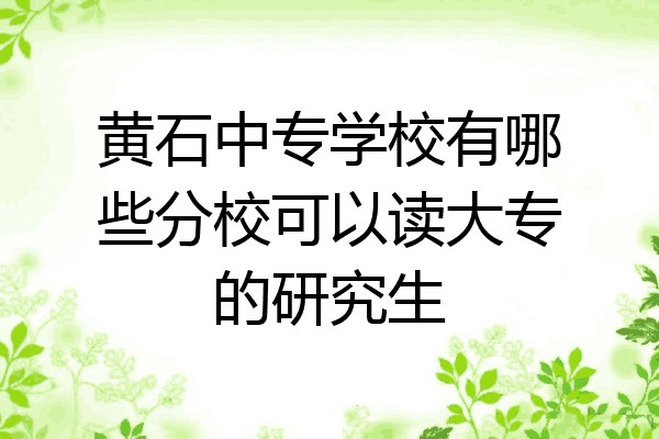 黄石中专学校有哪些分校可以读大专的研究生