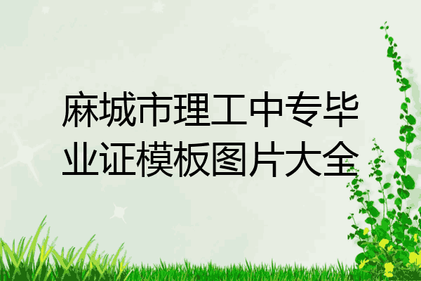 麻城市理工中专毕业证模板图片大全