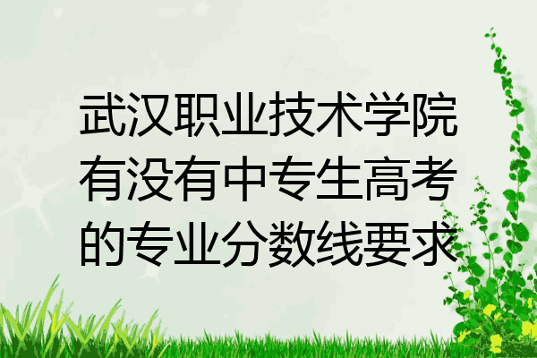 武汉职业技术学院有没有中专生高考的专业分数线要求