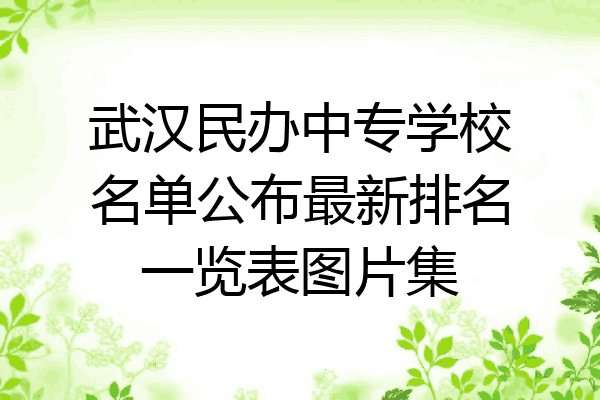 武汉民办中专学校名单公布最新排名一览表图片集