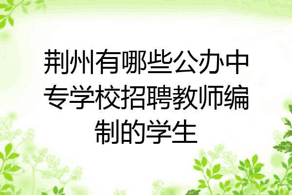 荆州有哪些公办中专学校招聘教师编制的学生