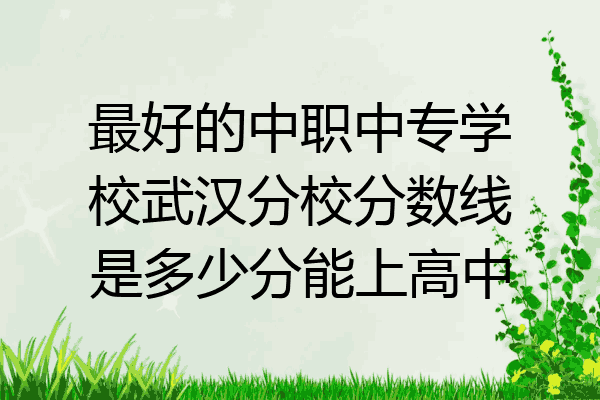 最好的中职中专学校武汉分校分数线是多少分能上高中