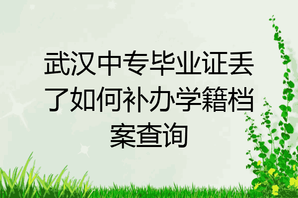 武汉中专毕业证丢了如何补办学籍档案查询