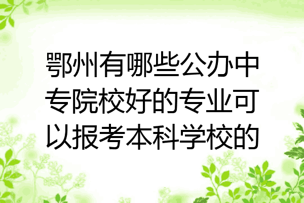 鄂州有哪些公办中专院校好的专业可以报考本科学校的