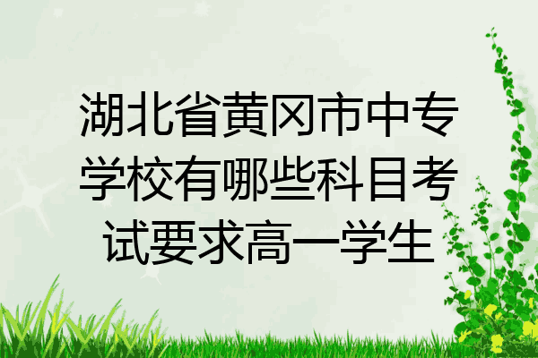 湖北省黄冈市中专学校有哪些科目考试要求高一学生