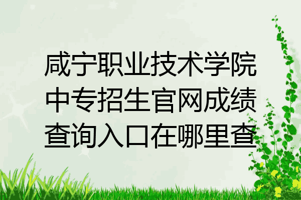 咸宁职业技术学院中专招生官网成绩查询入口在哪里查