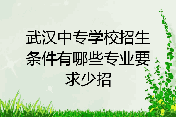 武汉中专学校招生条件有哪些专业要求少招