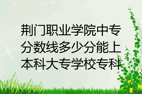 荆门职业学院中专分数线多少分能上本科大专学校专科