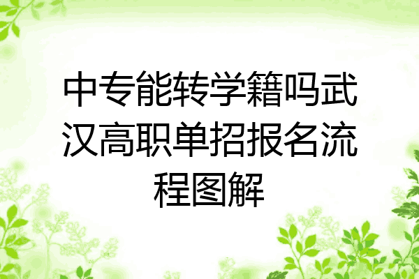 中专能转学籍吗武汉高职单招报名流程图解