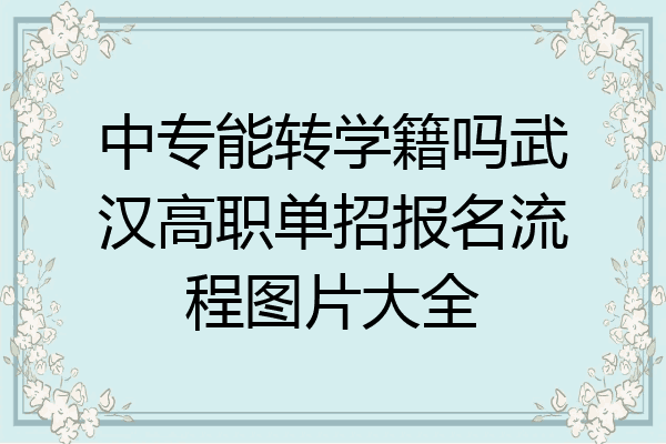 中专能转学籍吗武汉高职单招报名流程图片大全
