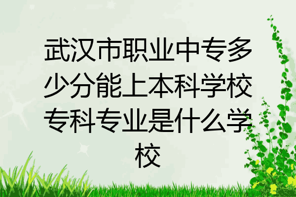 武汉市职业中专多少分能上本科学校专科专业是什么学校