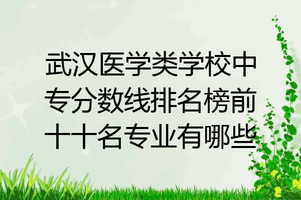 武汉医学类学校中专分数线排名榜前十十名专业有哪些